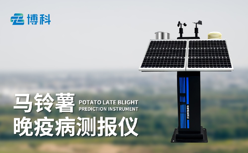 马铃薯晚疫病监测仪